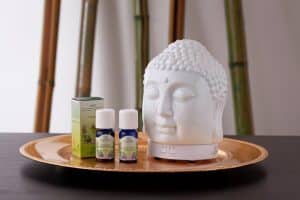 lakshmi essentiële olie vata pitta kapha