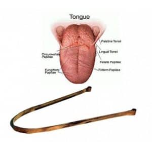 tong schraper voor vata pitta en kapha